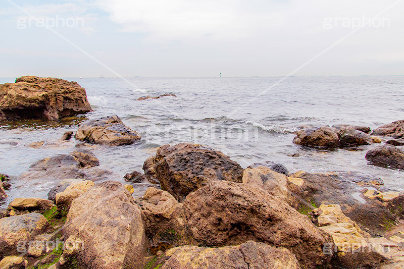 猿島,さるしま,無人島,東京湾,自然島,島,公園,神奈川県,横須賀,自然,史跡,伝説,空虚,名所,海岸,岩肌,japan