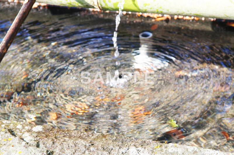 手水舎,寺,てら,お寺,手洗い場,ちょうずや,ちょうずしゃ,てみずや,てみずしゃ,参拝,お参り,手水,作法,寺院