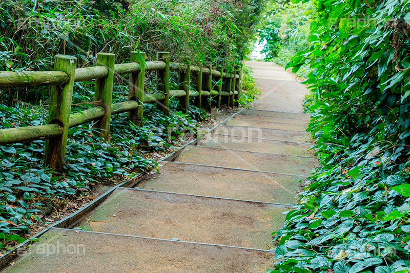 猿島,さるしま,無人島,東京湾,自然島,島,公園,神奈川県,横須賀,自然,史跡,伝説,空虚,名所,階段,japan