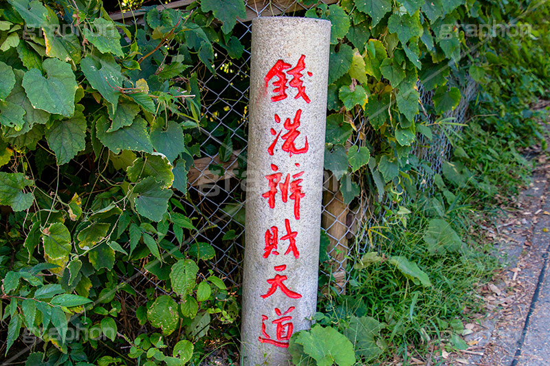 銭洗弁財天道,坂道,銭洗弁財天宇賀福神社,銭洗弁財天,銭洗弁天,神社,参拝,神奈川,県鎌倉,境内,洗う,石碑