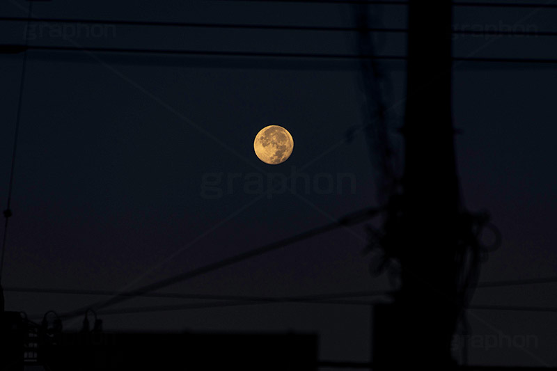 満月,月,夜空,空,ムーン,ルーナ,天体,光,白色,月見,お月見,空/天気,電線,円柱,怪しい,moon,sky,フルサイズ撮影