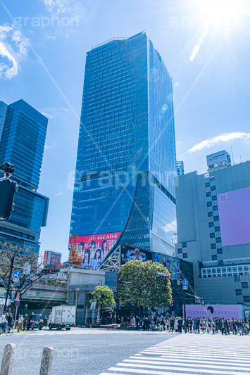 渋谷スクランブル交差点,渋谷,しぶや,観光,交差点,渋谷駅,駅前,スクランブル,道玄坂,横断歩道,信号,逆光,高層ビル,商業施設,ヒカリエ,スクランブルスクエア,フレア,flare,shibuya,japan