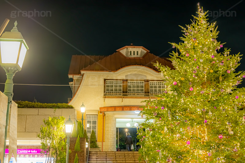 田園調布駅のクリスマスツリー,クリスマスツリー,イルミネーション,イルミ,田園調布駅,田園調布,駅,東急電鉄,東京,大田区,東横線,目黒線,電飾,電球,発光ダイオード,冬,キラキラ,綺麗,きれい,キレイ,煌,輝,デート,クリスマス,飾り,デコレーション,イベント,モミの木,もみの木,オーナメント,ボール,illumination,tree,LED,CHRISTMAS,Xmas,ornament,japan,tokyo,フルサイズ撮影