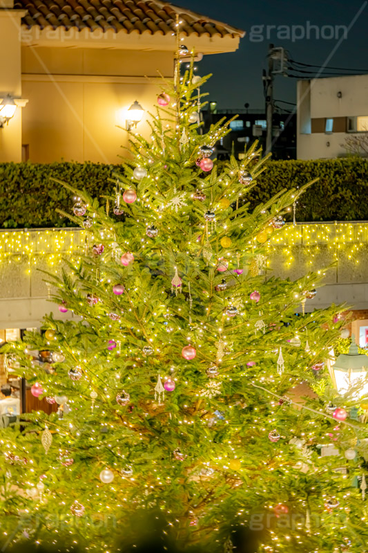 田園調布駅のクリスマスツリー,クリスマスツリー,イルミネーション,イルミ,田園調布駅,田園調布,駅,東急電鉄,東京,大田区,東横線,目黒線,電飾,電球,発光ダイオード,冬,キラキラ,綺麗,きれい,キレイ,煌,輝,デート,クリスマス,飾り,デコレーション,イベント,モミの木,もみの木,オーナメント,ボール,illumination,tree,LED,CHRISTMAS,Xmas,ornament,japan,tokyo,フルサイズ撮影