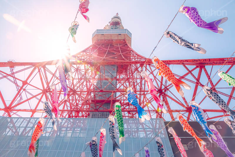 東京タワーと鯉のぼり,こいのぼり,鯉のぼり,5月5日,端午,節句,こどもの日,子供の日,こども,子供,東京タワー,とうきょうタワー,港区,和,文化,風習,行事,なびく,Tokyo Tower,event,kids,japan