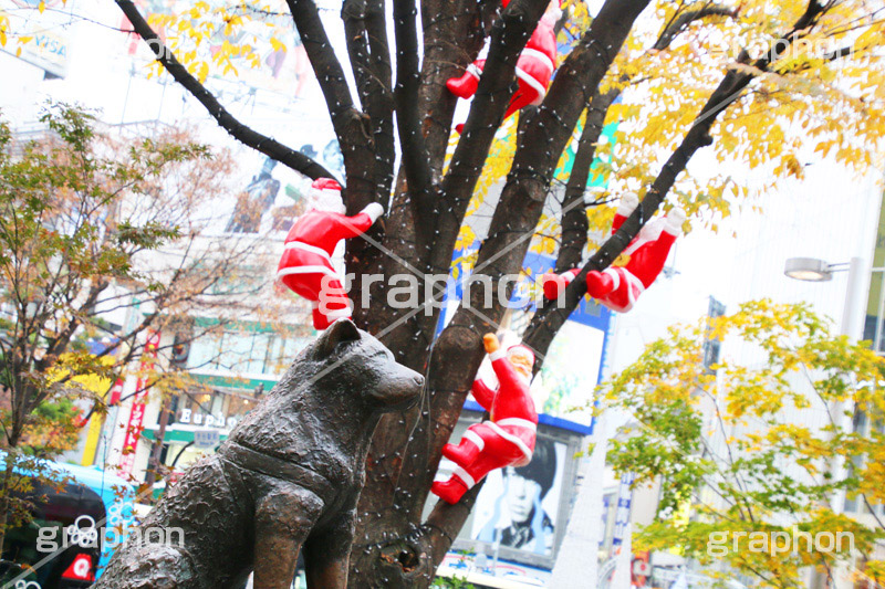 ハチ公前クリスマスデコレーション,渋谷,しぶや,ハチ公前,待ち合わせ,待合せ,クリスマスオーナメント,クリスマス,CHRISTMAS,Xmas,飾り,デコレーション,イベント,おもちゃ,shibuya,冬,装飾,ornament,Santa,サンタ,サンタクロース,登る,上る,イルミネーション,行事