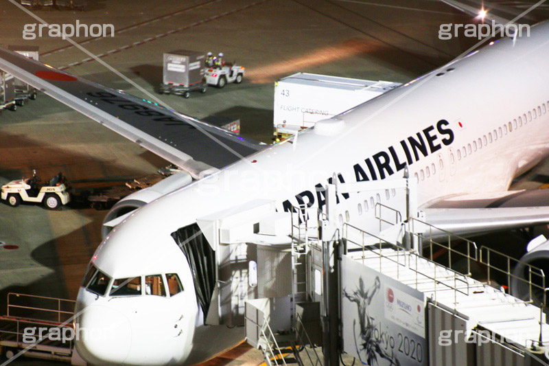 羽田空港,haneda,はねだ,羽田,飛行機,旅客機,空港,航空,航空路,到着,出発,発着,エアライン,航空会社,ターミナル,国内線,国際線,路線,ハブ,景気,アジア,亜細亜,ビルディング,建物,建造,ビジネス,事業,企業,業務,チェックイン,チェック,チェックする,カウンタ,カウンター,夜,旅行,旅,travel