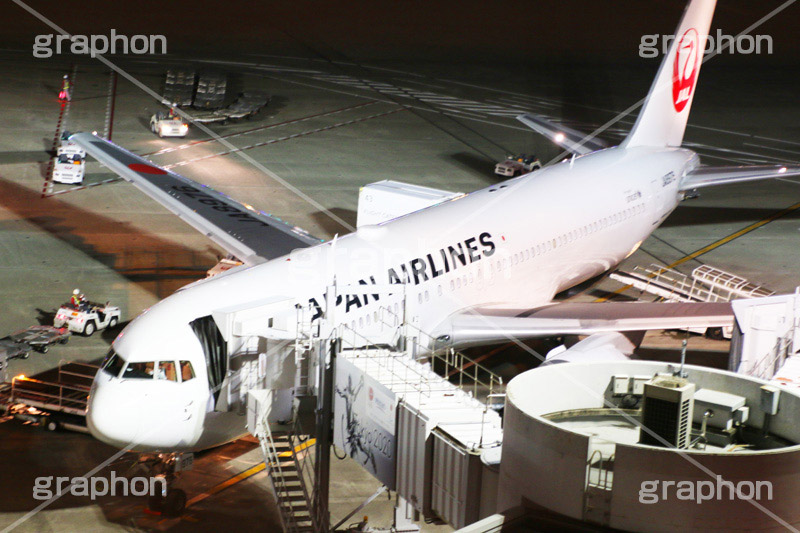 羽田空港,haneda,はねだ,羽田,飛行機,旅客機,空港,航空,航空路,到着,出発,発着,エアライン,航空会社,ターミナル,国内線,国際線,路線,ハブ,景気,アジア,亜細亜,ビルディング,建物,建造,ビジネス,事業,企業,業務,チェックイン,チェック,チェックする,カウンタ,カウンター,夜,旅行,旅,travel