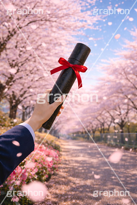 卒業式,卒業,別れ,帰り,後ろ姿,後ろ,女性,女子,人物,手,女子高生,高校生,女子高校生,卒業証書,桜,さくら,サクラ,花見,花吹雪,ブロッサム,春,花,花びら,花弁,背景,blossom,spring,flower,hand,AI生成素材