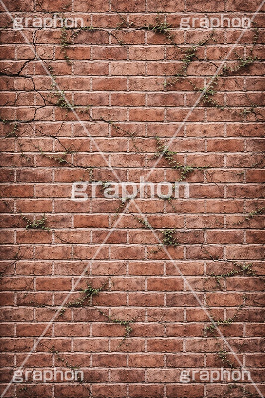 荒れたレンガ,荒れ,雑草,荒廃,廃墟,赤レンガ,レンガ,れんが,塀,壁,テクスチャ,テクスチャ―,汚,荒,石系,マテリアル,bricks,texture,material,AI生成素材