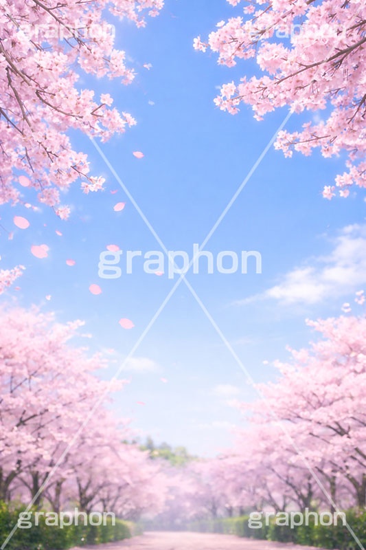 NEW START,新生活,新社会人,新入学,桜と青空,青空,空,満開,花吹雪,爽やか,さわやか,桜,さくら,サクラ,花見,ブロッサム,春,花,花びら,花弁,背景,blossom,spring,flower,AI生成素材