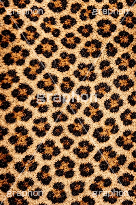 ヒョウ柄-アニマルシリーズ,ヒョウ柄,アニマルシリーズ,テクスチャ,テクスチャ―,アニマル柄,豹柄,模様,もよう,柄,がら,ギャル,平成リバイバル,カワイイ,可愛い,かわいい,gal,animal,texture,AI生成素材