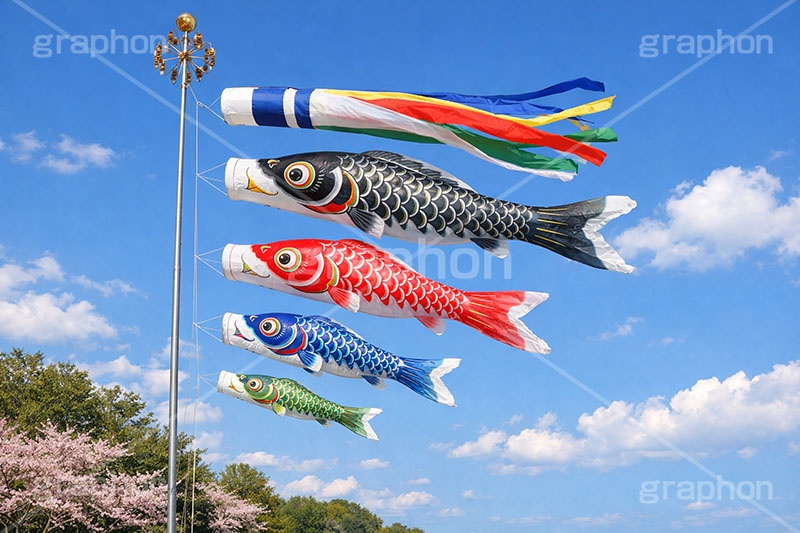 青空を泳ぐ鯉のぼり,こどもの日,こいのぼり,鯉のぼり,5月5日,端午,節句,供物,子供の日,こども,子供,和,文化,風習,行事,なびく,桜,春,spring,event,kids,japan,AI生成素材