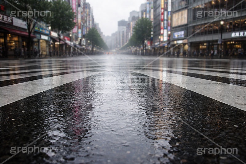 雨の日の交差点,道路,梅雨,都会,無人,交差点,横断歩道,雨の日,雨,アスファルト,水たまり,水溜まり,rain,asphalt,AI生成素材