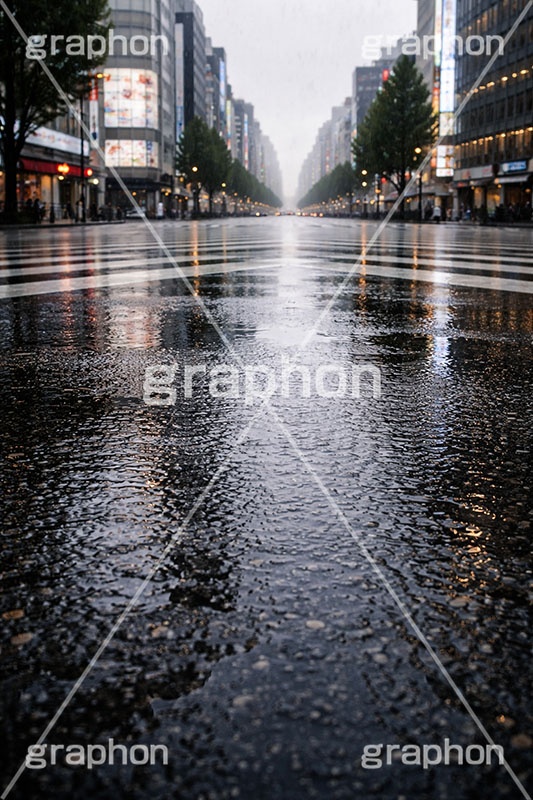 雨の日の交差点,水溜まり,アスファルト,水たまり,梅雨,都会,無人,交差点,横断歩道,道路,雨の日,雨,rain,asphalt,AI生成素材