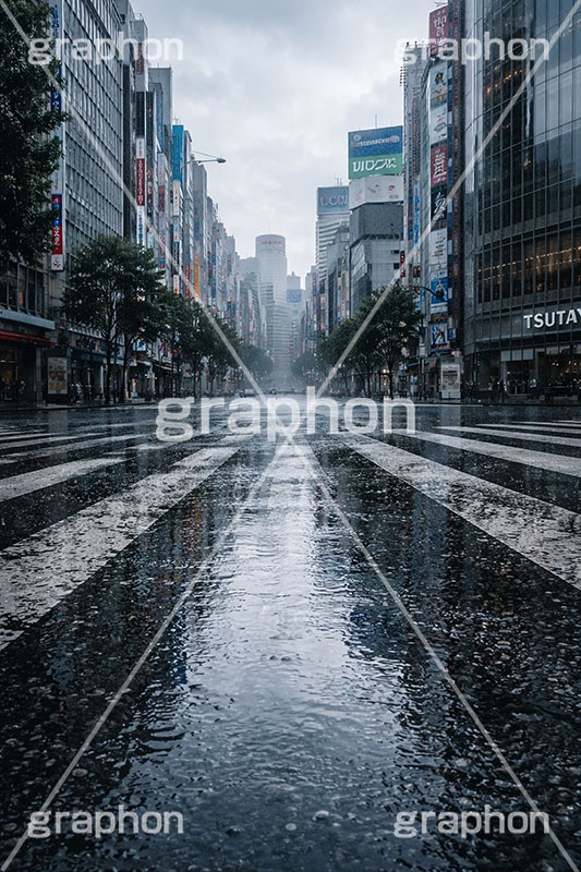 雨の日の交差点,アスファルト,水たまり,梅雨,都会,無人,交差点,横断歩道,道路,雨の日,雨,水溜まり,rain,asphalt,AI生成素材