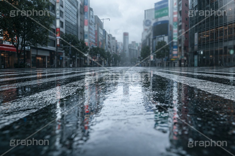 雨の日の交差点,アスファルト,水たまり,梅雨,都会,無人,交差点,横断歩道,道路,雨の日,雨,水溜まり,rain,asphalt,AI生成素材
