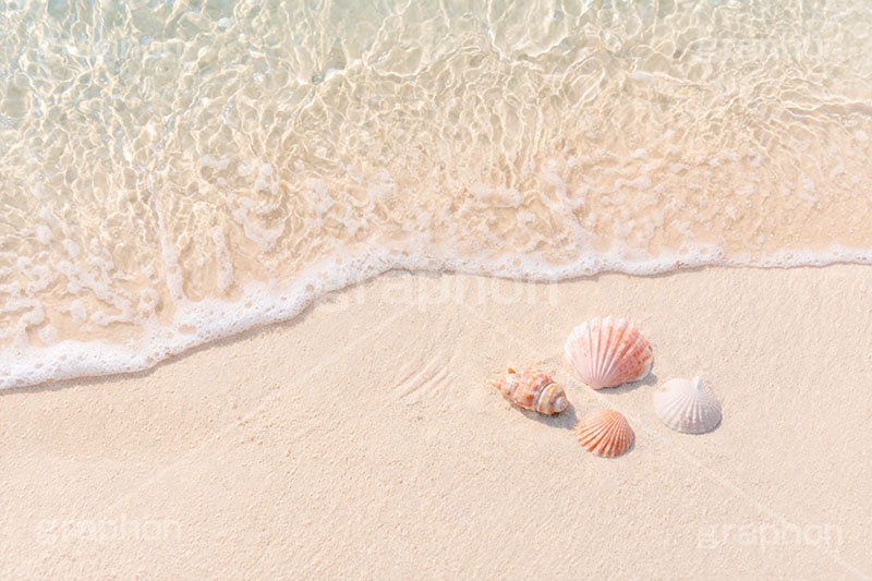 砂浜と貝殻,波打ち際,風物詩,砂浜,貝殻,海,貝,夏休み,波,自然,夏,ポエム,sea,summer,AI生成素材