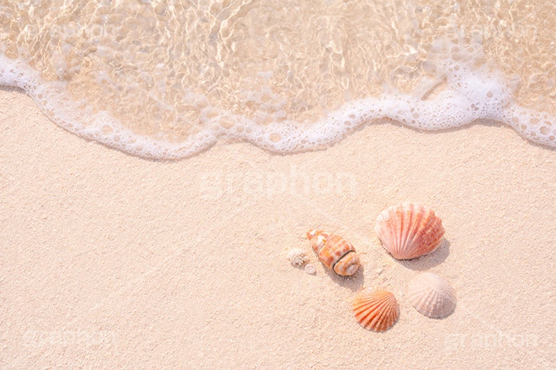 砂浜と貝殻,夏休み,波,砂浜,貝殻,海,貝,波打ち際,風物詩,自然,夏,ポエム,sea,summer,AI生成素材