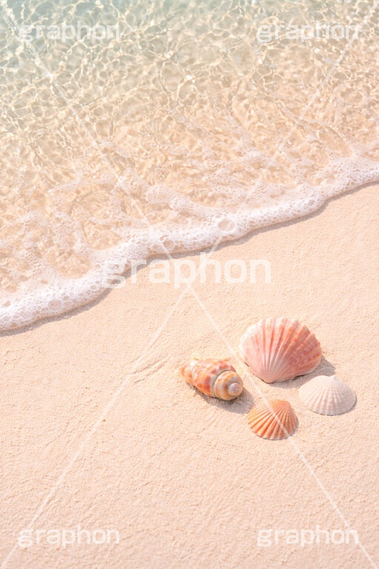 砂浜と貝殻,夏休み,波,砂浜,貝殻,海,貝,波打ち際,風物詩,自然,夏,ポエム,sea,summer,AI生成素材