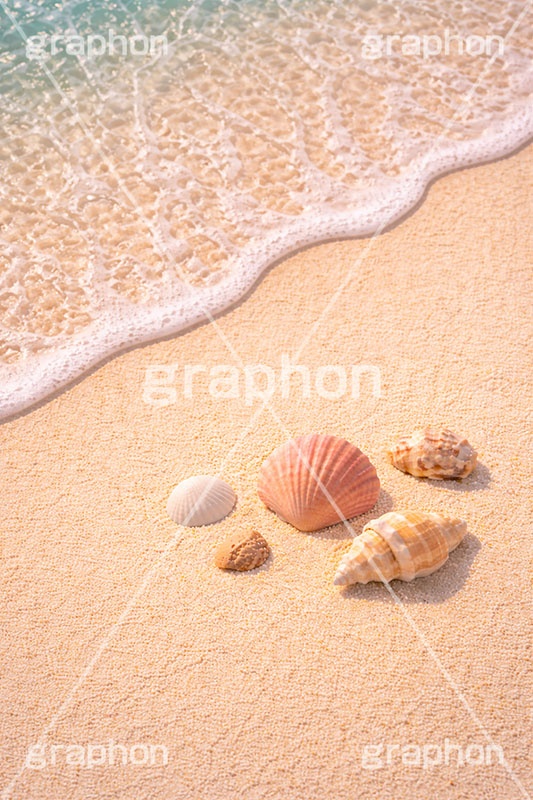 砂浜と貝殻,砂浜,貝殻,海,貝,波打ち際,風物詩,夏休み,波,自然,夏,ポエム,sea,summer,AI生成素材