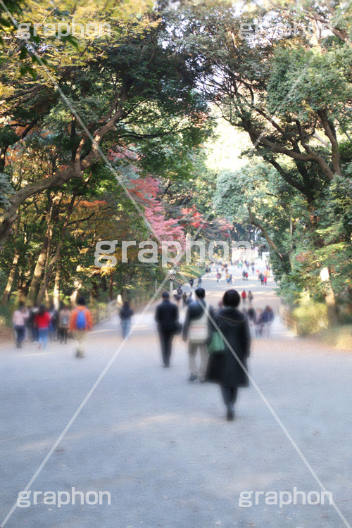 明治神宮,めいじじんぐう,渋谷区,明治天皇,昭憲皇太后,祭神,明治,神宫,境内,御苑,外苑,原宿