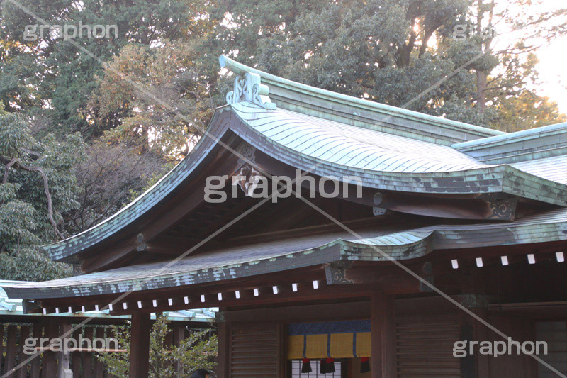 明治神宮,めいじじんぐう,渋谷区,明治天皇,昭憲皇太后,祭神,明治,神宫,境内,御苑,外苑,原宿