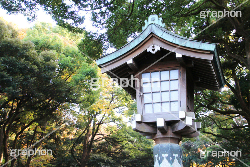 灯籠,灯篭,明治神宮,めいじじんぐう,渋谷区,明治天皇,昭憲皇太后,祭神,明治,神宫,境内,御苑,外苑,原宿