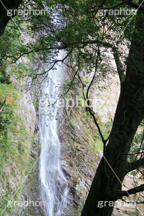 滝,瀧,たき,流れ,落下,瀑布,飛瀑,自然,絶景,マイナスイオン,イオン,静岡県,宇嶺の滝,お君の滝