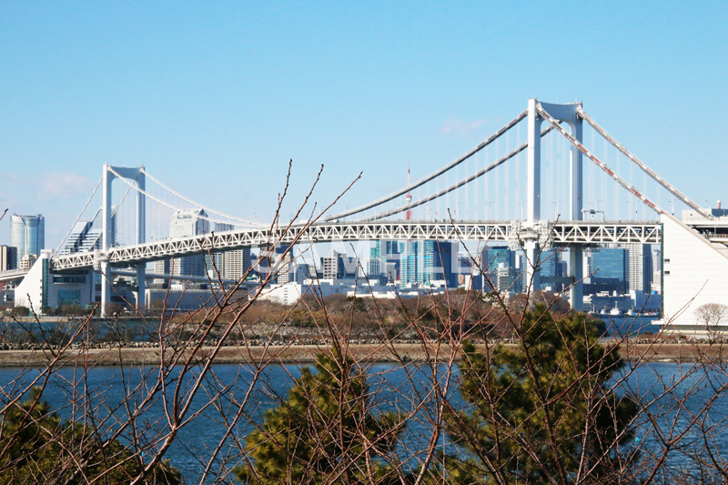 レインボーブリッジ,橋,ブリッジ,吊り橋,東京港連絡橋,お台場,台場,DAIBA,東京都港区台場,東京臨海副都心,御台場,東京湾,港区,オリンピック,olympic