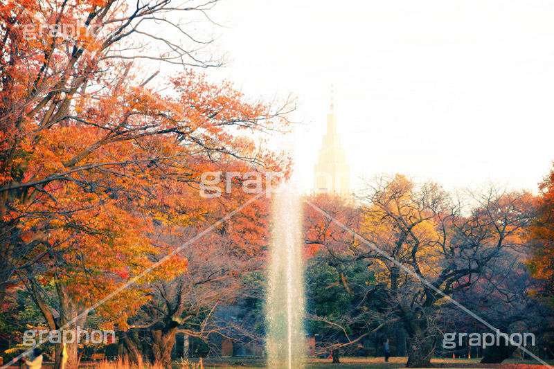 秋の代々木公園,トイカメラ撮影,トイカメラ,ヴィンテージ,ビンテージ,レトロ,お洒落,おしゃれ,オシャレ,味わい,トンネル効果,tokyo,渋谷,原宿