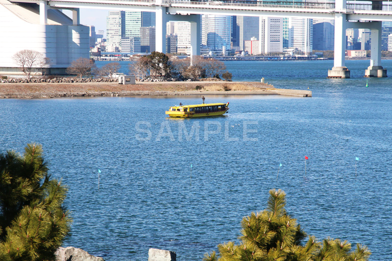 お台場,台場,DAIBA,東京都港区台場,東京臨海副都心,御台場,東京湾,港区