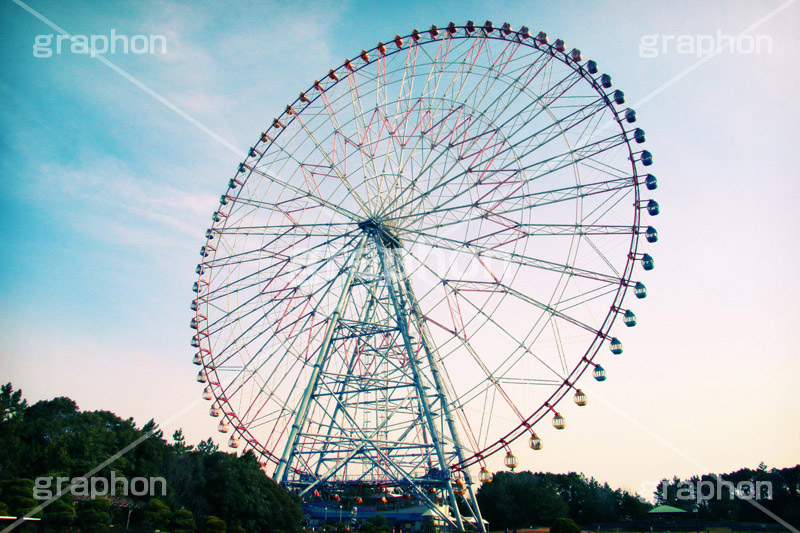 葛西臨海公園-観覧車,トイカメラ撮影,トイカメラ,ヴィンテージ,ビンテージ,レトロ,お洒落,おしゃれ,オシャレ,味わい,トンネル効果