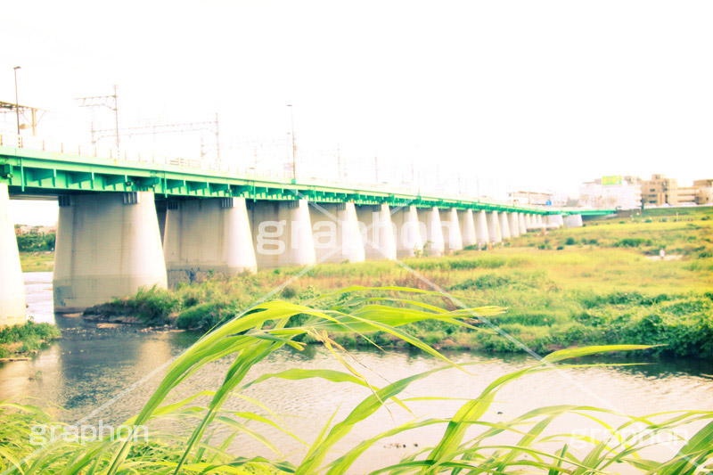 二子玉川-橋,トイカメラ撮影,トイカメラ,ヴィンテージ,ビンテージ,レトロ,お洒落,おしゃれ,オシャレ,味わい,トンネル効果,多摩川