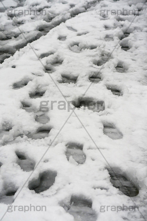 道路に積もる雪,雪,ゆき,積,足跡,跡,冬,道路,アスファルト,滑る,積雪,snow,winter