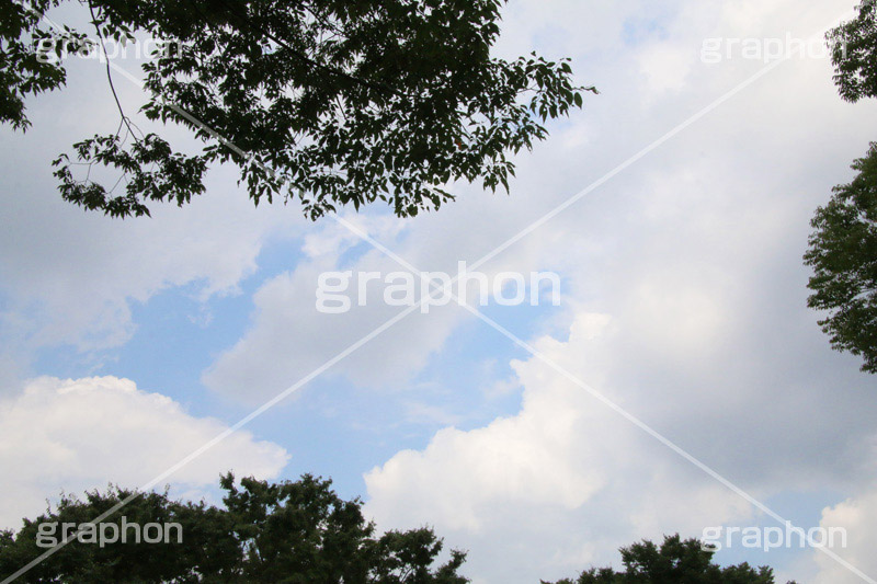 青空,空,晴,雲,お天気,空/天気,空/雲