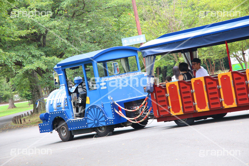 昭和記念の列車,昭和記念公園,乗り物,公園,国営公園,国営,立川,広大,列車,汽車,遊具,子供,こども,移動