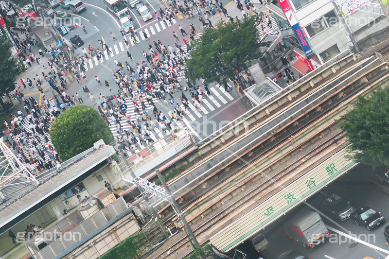 渋谷スクランブル交差点,渋谷,しぶや,ハチ公,観光,交差点,渋谷駅,駅前,スクランブル,外国人,海外,shibuya,道玄坂,japan,横断歩道,信号