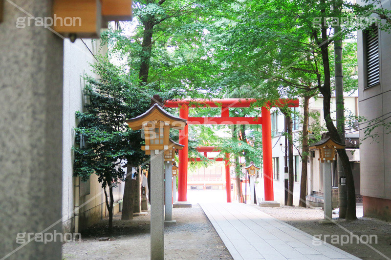 花園神社,神社,参拝,お参り,新宿,新宿区,郷社,倉稲魂命,日本武尊,受持神,徳川家康,文化財,芸能,都心,都会,鳥居,shrine,japan,灯籠