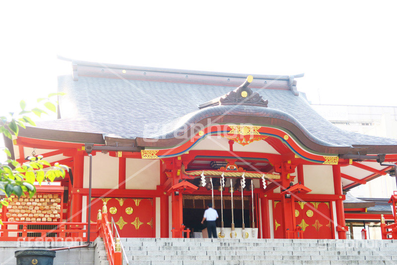 花園神社,神社,参拝,お参り,新宿,新宿区,郷社,倉稲魂命,日本武尊,受持神,徳川家康,文化財,芸能,都心,都会,境内,shrine,japan