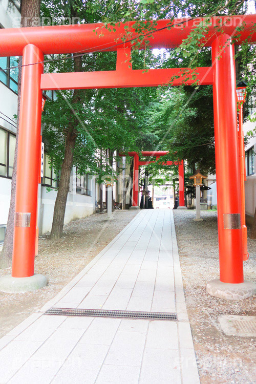 花園神社,神社,参拝,お参り,新宿,新宿区,郷社,倉稲魂命,日本武尊,受持神,徳川家康,文化財,芸能,都心,都会,鳥居,shrine,japan