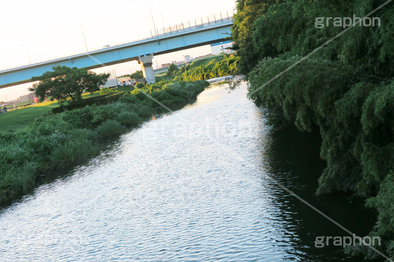 多摩川,河川敷,二子玉,二子玉川,にこたま,ニコタマ,世田谷区,川,河原,かわ,河川,橋,river