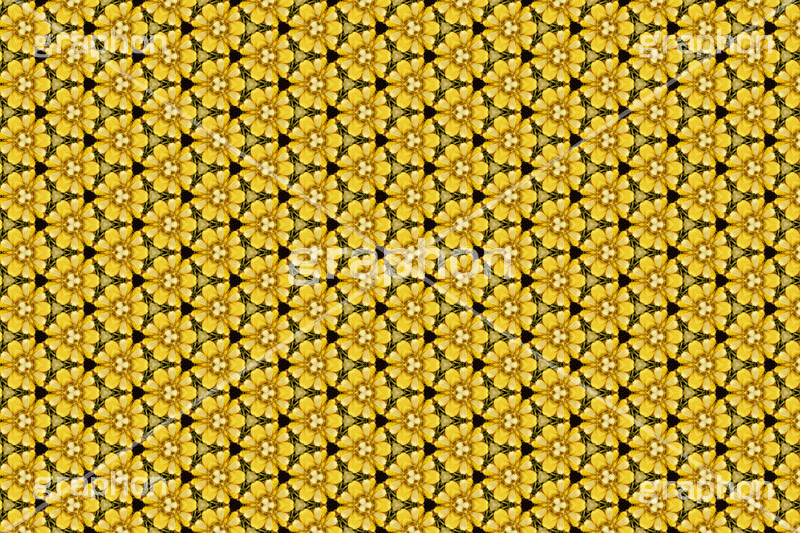 ドライフラワーをパターンにしてみた,ドライフラワー,フラワー,flower,花,パターン,モノグラム,pattern,monogram,柄,がら,模様,もよう,texture,テクスチャ,テクスチャ―,万華鏡,図案,加工,フォトパターン,してみた,シリーズ,スマホ撮影