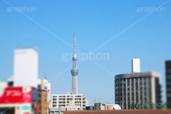 上野からのスカイツリー,スカイツリー,東京スカイツリー,TOKYO SKYTREE,上野,駅前,上野駅,眺め,風景,台東区,上野公園,ティルトシフト,撮影,のような,模型風,ミニチュア風,ジオラマ風,チルトシフト,上野恩賜公園,tower,japan,タワー