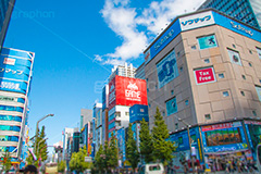 秋葉原の電気街,秋葉原,あきば,秋葉,アキバ,akiba,駅前,電気街,秋葉原駅,看板,広告,ゲーム,アニメ,おたく,オタク,japan,culture,文化,カルチャー