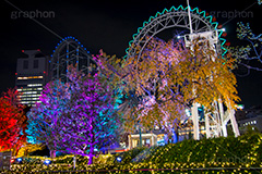 東京ドームシティのイルミネーション,東京ドーム,ドームシティ,東京ドームシティ,遊園地,遊具,乗り物,アトラクション,施設,イルミネーション,イルミ,電飾,電球,発光ダイオード,冬,キラキラ,綺麗,きれい,キレイ,煌,輝,デート,スポット,都内,オーナメント,飾り,イベント,ビッグエッグ,野球,ベイスボール,野球場,巨人,ジャイアンツ,ライブ,ライヴ,コンサート,水道橋,春日,後楽園,文京区,行事,LED,illumination,illumination,dome,live,concert,baseball,BIG EGG