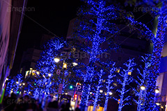 青の洞窟 SHIBUYA,青の洞窟,渋谷,渋谷公園通り,ケヤキ並木,渋谷区,代々木公園,青,ブルー,イルミネーション,イルミ,電飾,電球,発光ダイオード,冬,キラキラ,綺麗,きれい,キレイ,煌,輝,デート,スポット,都内,イベント,行事,SHIBUYA,illumination,blue,LED