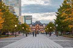 紅葉と東京駅丸の内駅舎,紅葉,イチョウ,いちょう,銀杏,並木,秋,東京,東京駅,内駅舎,赤レンガ,丸の内,重要文化財,豪壮華麗,洋式建築,中央駅,国指定重要文化財,Tokyo Station City,ライトアップ,レトロ,レンガ造り,復元,tokyo,旅行,旅,travel