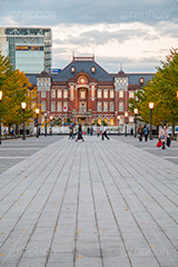 紅葉と東京駅丸の内駅舎,紅葉,イチョウ,いちょう,銀杏,並木,秋,東京,東京駅,内駅舎,赤レンガ,丸の内,重要文化財,豪壮華麗,洋式建築,中央駅,国指定重要文化財,Tokyo Station City,ライトアップ,レトロ,レンガ造り,復元,tokyo,旅行,旅,travel