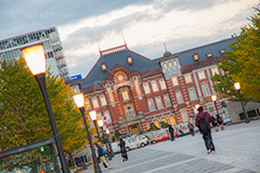 紅葉と東京駅丸の内駅舎,紅葉,イチョウ,いちょう,銀杏,並木,秋,東京,東京駅,内駅舎,赤レンガ,丸の内,重要文化財,豪壮華麗,洋式建築,中央駅,国指定重要文化財,Tokyo Station City,ライトアップ,レトロ,レンガ造り,復元,tokyo,旅行,旅,travel